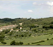 vista agriturismo