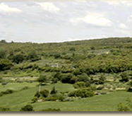vista agriturismo