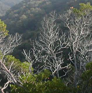 riserva naturale pomarance