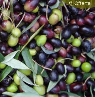 olio biologico