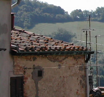 san dalmazio pisa