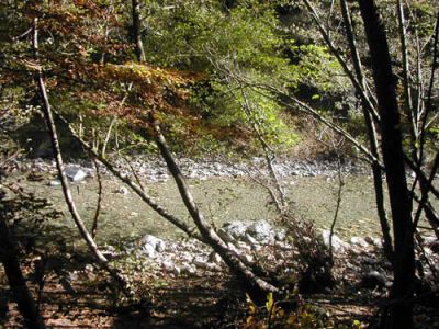 torrente pavone